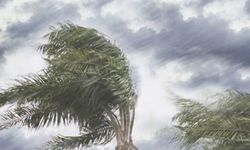 Meteoroloji'den kuvvetli yağış ve rüzgar uyarısı