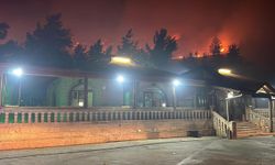 Şanlıurfa'da Gece Çıkan Orman Yangını Korkuttu