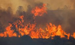 Çeşme'deki Orman Yangını: İki Kişi Tutuklandı