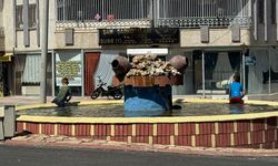 Şanlıurfa'da Çocuklar Tehlikeli Sularda Serinliyor