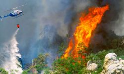 İzmir'deki orman yangını sürüyor