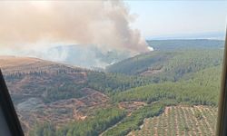 İzmir’de Orman Yangını: Menderes’te Alevlere Müdahale Devam Ediyor