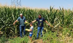 "Bakan konuşunca kendimi başka bir ülkede yaşıyor sanıyorum"