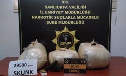 Şanlıurfa 29 kilo sentetik uyuşturucu ele geçirildi: 5 gözaltı