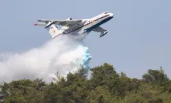 Azerbaycan'ın gönderdiği amfibi uçağı Bolu’daki yangına müdahale etti