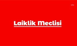 "İktidar, dinci-gerici projesini teğmenler üzerinden ortaya koyarak laiklik ilkesine bir kez daha saldırmıştır"