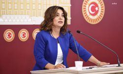 Gülüstan Kılıç Koçyiğit: "Çocuk cinayetlerinin ardındaki politik nedenler açığa çıkarılmalı"