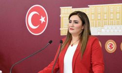 CHP'li Kılıç'tan araştırma önergesi: Gerçek beka sorunumuz gençlerin suç ve şiddet sarmalında olmalarıdır