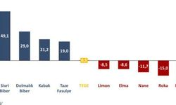 TEPAV: Eylülde gıda enflasyonu aylık 0,48, yıllık 49,13 oldu