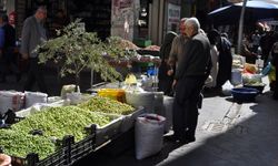 Kırma yeşil zeytin tezgâhlardaki yerini aldı