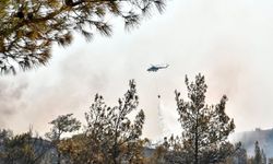 Denizli'deki orman yangınına müdahale 3'üncü günüde devam ediyor