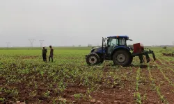 Kırsal kalkınma destekleri projelerin tamamlanma süresi uzatıldı