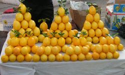 Markette fiyatı en fazla artan ürün limon oldu!