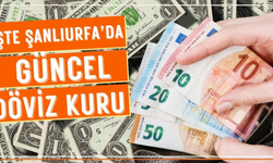 Dolar Ve Euro Güne Nasıl Başladı?