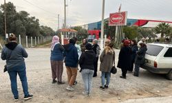 İşletme iflas etti alacaklılar kapıya dayandı