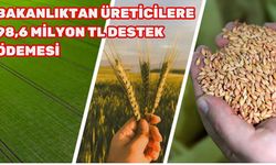 Bakanlıktan Üreticilere 98,6 Milyon TL Destek Ödemesi