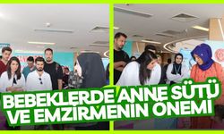 Bebeklerde Anne Sütü ve Emzirmenin Önemi