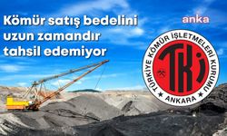 Özelleştirilen Soma Termik Santrali, TKİ’ye 3 milyar 273 milyon liralık borcunu ödemiyor