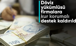 Döviz yükümlüsü firmalara kötü haber