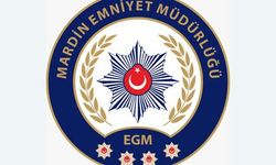 Mardin'de Terör Operasyonu: 20 Kişi Gözaltına Alındı