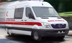 Ardahan'da askeri vasıta devrildi: 4 yaralı