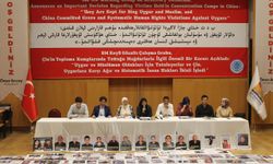 BM'den Doğu Türkistan için örnek karar