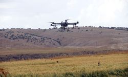 Çiftçiler tarlalarını drone ile ilaçlamaya yöneliyor