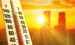 Dünya Meteoroloji Örgütü, rekor sıcaklık uyarısı yapıyor