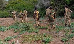 Somali'de El-Şebab örgütüne operasyon: 18 ölü