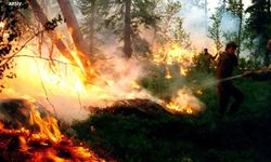 Sinop'ta orman yangını: Yıldırım nedeniyle çıktı