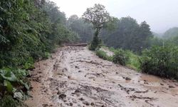 Sakarya'da sağanak yağış sonucu heyelan meydana geldi ve yollar kapandı