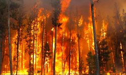 Orman yangınlarının %90'ı insan kaynaklı!