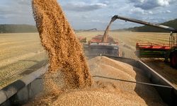 Çin'den "tahıl ihracatına devam etme" çağrısı!
