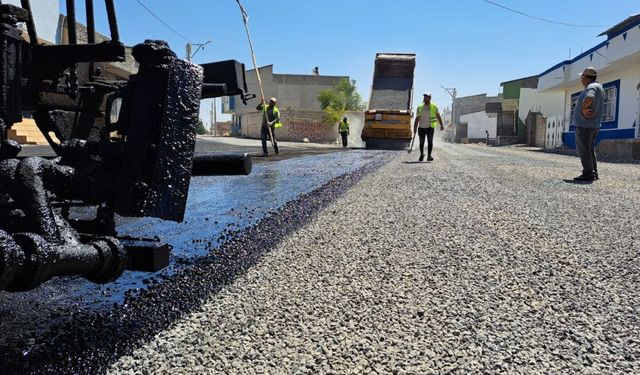 Viranşehir Belediyesi Hürriyet Mahallesinde Asfalt Çalışmalarını Sürdürüyor