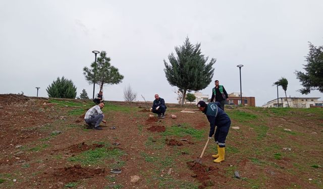 Viranşehir Belediyesi'nden Temizlik ve Çevre Düzenleme Çalışmalarına Devam