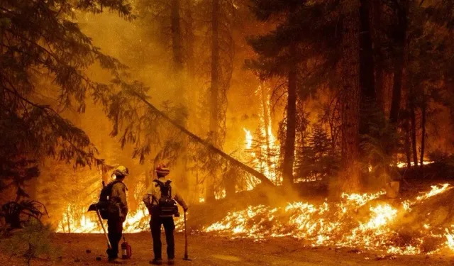 California'da Orman Yangını Dumanından 10 Yılda En Az 52 Bin Kişi Erken Yaşta Hayatını Kaybetti