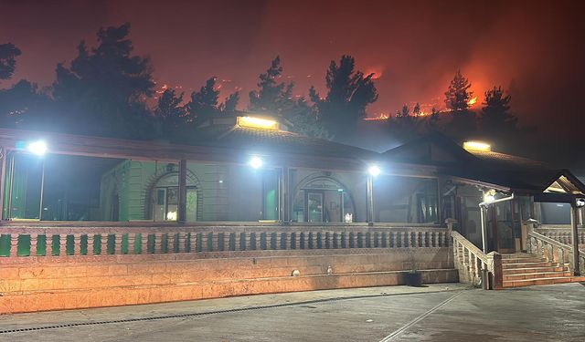 Şanlıurfa'da Gece Çıkan Orman Yangını Korkuttu