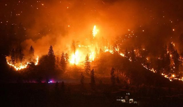 Kanada'da orman yangınları 95 bin hektarlık alana yayıldı
