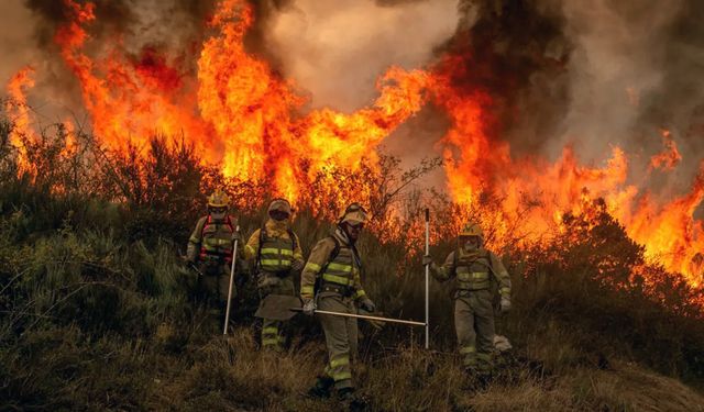 İtalya'da orman yangınları: 2 ölü