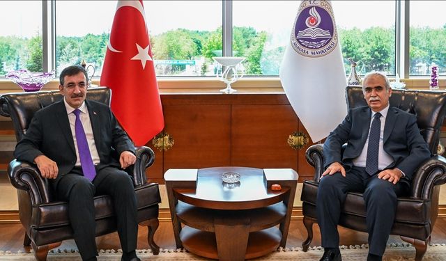 Cumhurbaşkanı Yardımcısı Yılmaz, Anayasa Mahkemesi Başkanı Özkaya'yı Ziyaret Etti