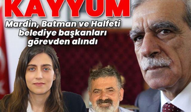 Mardin, Batman ve Halfeti'ye kayyum atandı