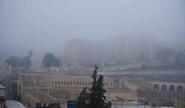 Şanlıurfa’da yoğun sis hayatı felç etti!