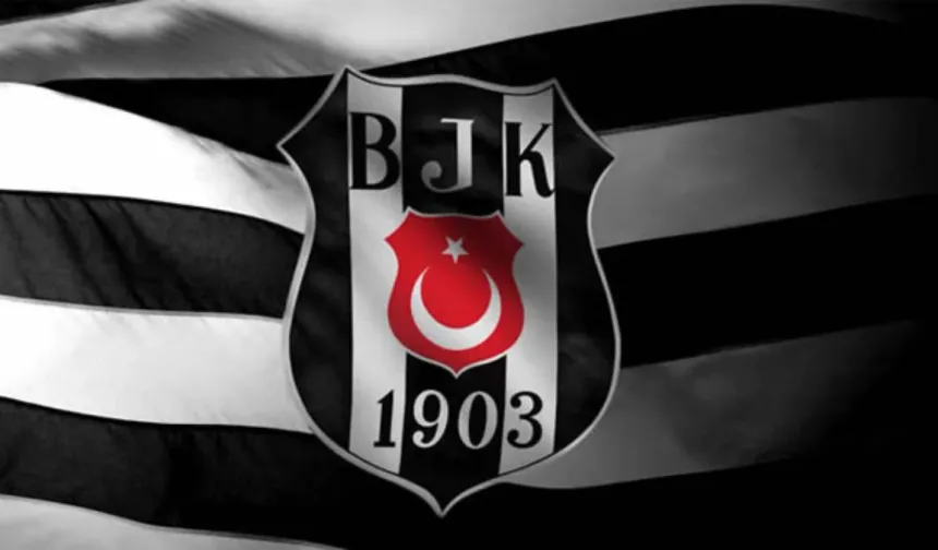 Beşiktaş, teknik ekibe Anthony McElhone ve Rudolfus Hubertus Hesp'i dahil etti